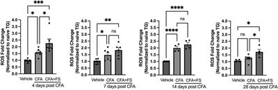 Forced swim stress exacerbates inflammation-induced hyperalgesia and oxidative stress in the rat trigeminal ganglia